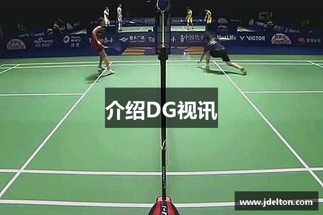 介绍DG视讯
